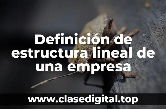 Definición de estructura lineal de una empresa