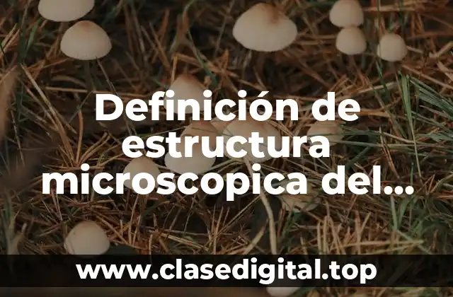 Definición de estructura microscopica del musculo