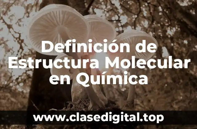 Definición de Estructura Molecular en Química