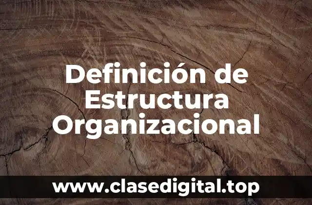 Definición de Estructura Organizacional