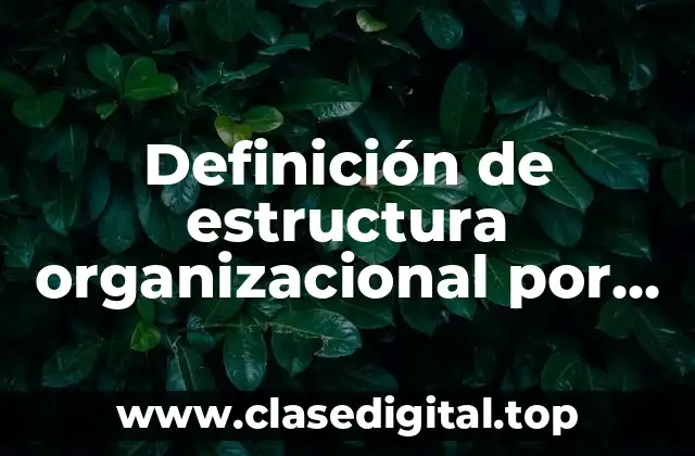 Definición técnica de estructura organizacional por elección y por nombramiento