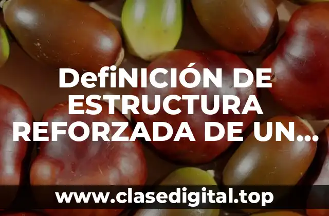 DefiNICIÓN DE ESTRUCTURA REFORZADA DE UN ARCHIVADOR