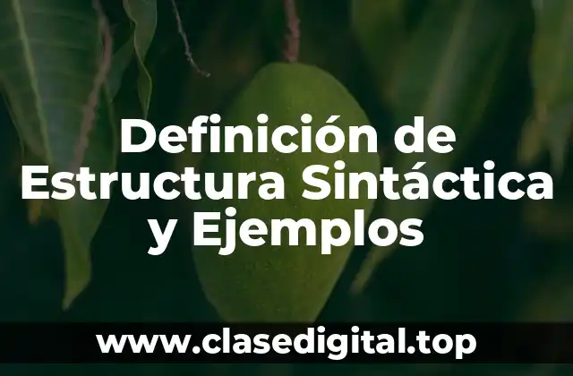 Definición de Estructura Sintáctica y Ejemplos