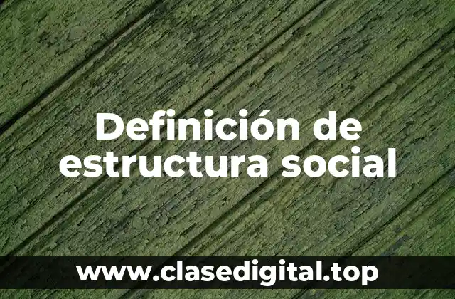 Definición de estructura social