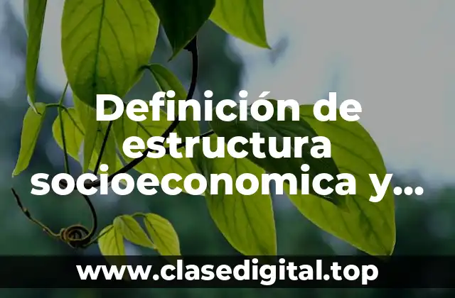 Definición de estructura socioeconomica y politica