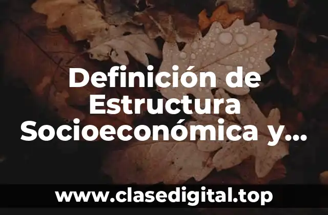 Definición de Estructura Socioeconómica y sus Elementos