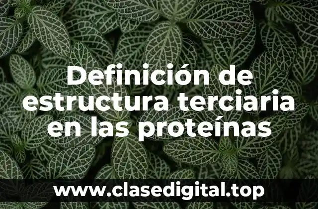 Definición de estructura terciaria en las proteínas