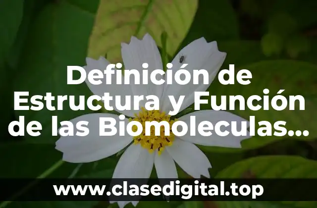 Definición de Estructura y Función de las Biomoleculas Orgánicas