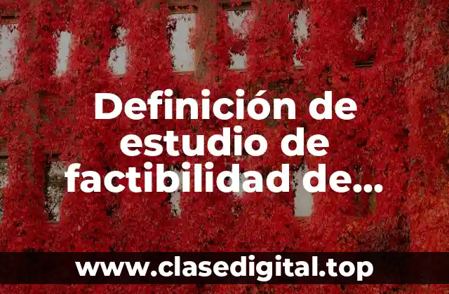 Definición de estudio de factibilidad de mercado