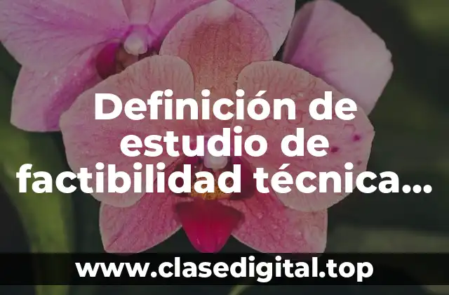 Definición de estudio de factibilidad técnica para un sistema