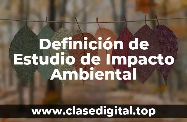 Definición de Estudio de Impacto Ambiental