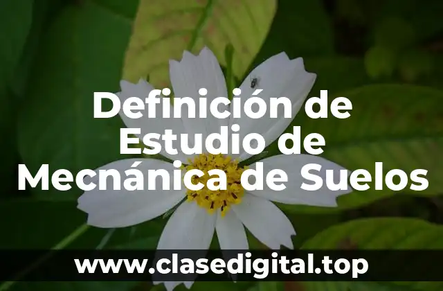 Definición técnica de Estudio de Mecnánica de Suelos