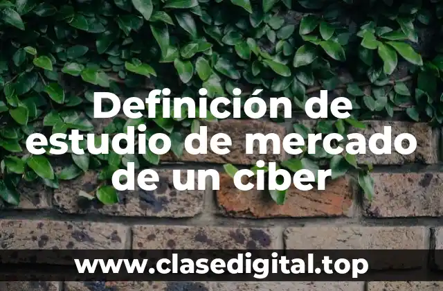 Definición de estudio de mercado de un ciber
