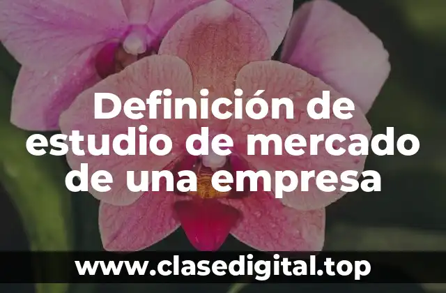 Definición de estudio de mercado de una empresa