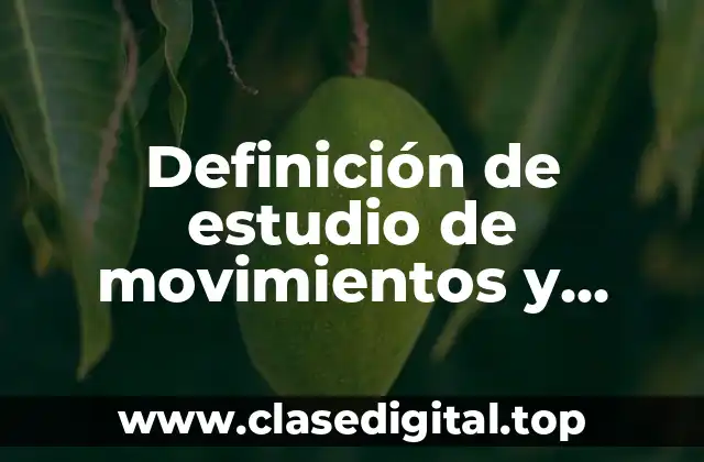 Definición de estudio de movimientos y tiempos