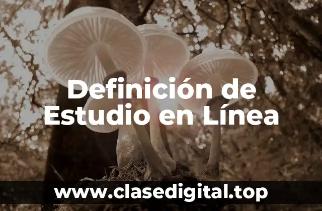 Definición de Estudio en Línea