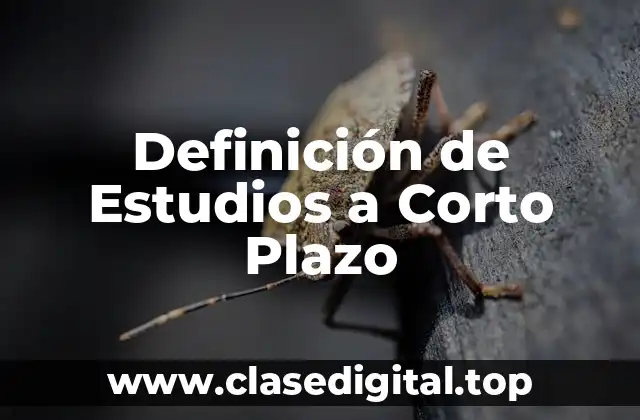Definición de Estudios a Corto Plazo