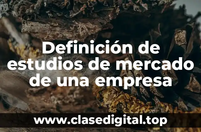 Definición de estudios de mercado de una empresa