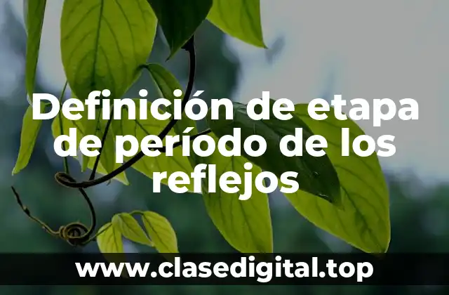 Ejemplos de etapa de período de los reflejos