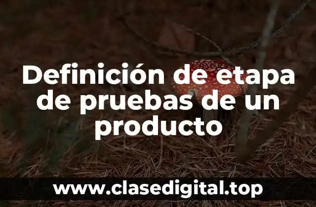 Definición de etapa de pruebas de un producto