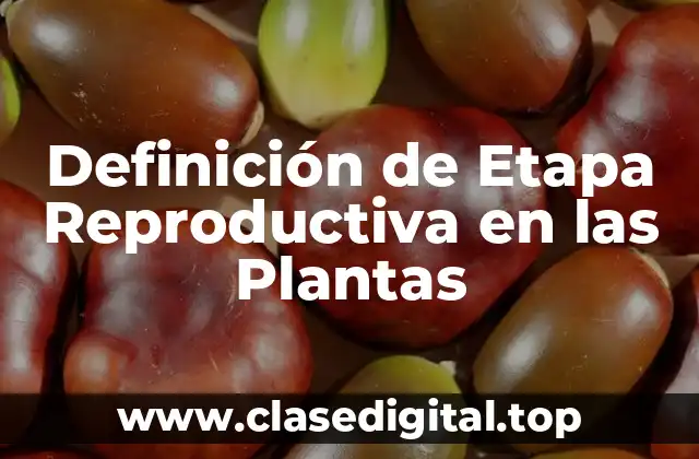 Definición de Etapa Reproductiva en las Plantas