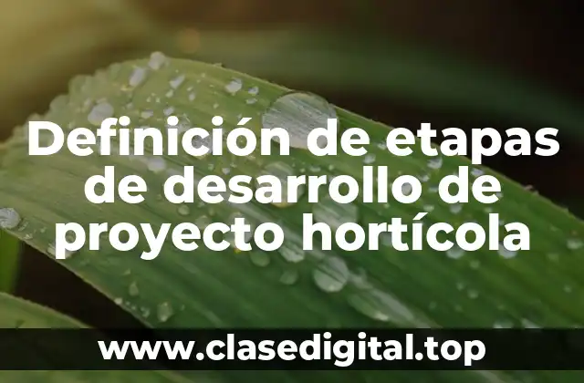 Definición de etapas de desarrollo de proyecto hortícola