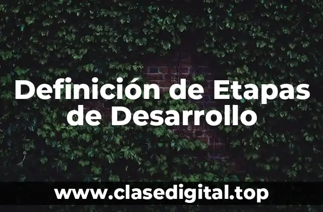Definición de Etapas de Desarrollo