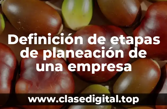 Definición de etapas de planeación de una empresa