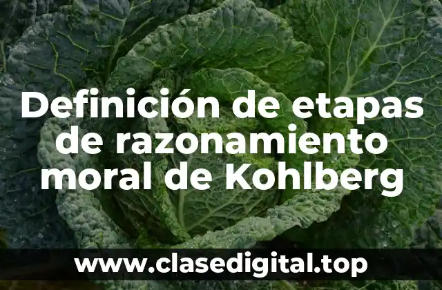 Definición de etapas de razonamiento moral de Kohlberg