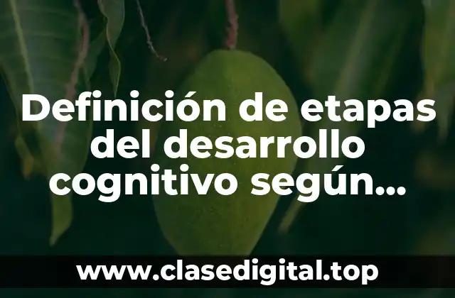 Definición de etapas del desarrollo cognitivo según Piaget