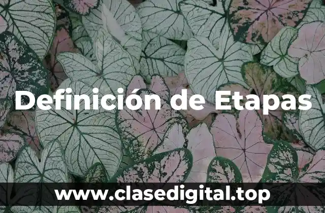 Ejemplos de Etapas