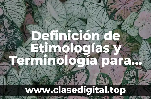 Definición de Etimologías y Terminología para Enfermería