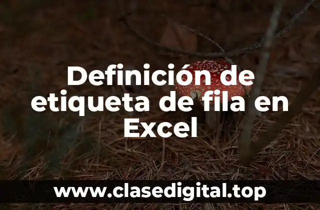 Definición de etiqueta de fila en Excel