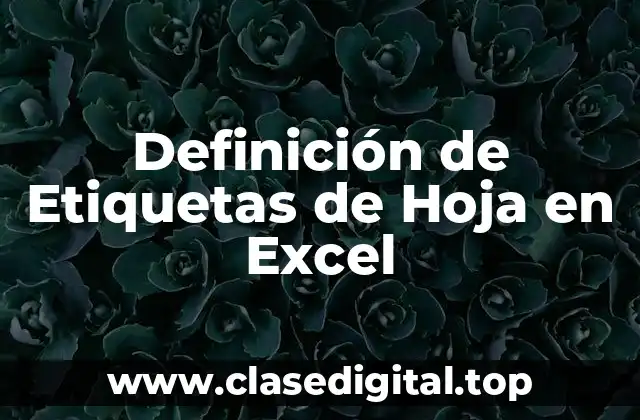 Definición de Etiquetas de Hoja en Excel
