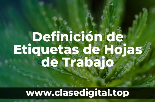 Definición de Etiquetas de Hojas de Trabajo