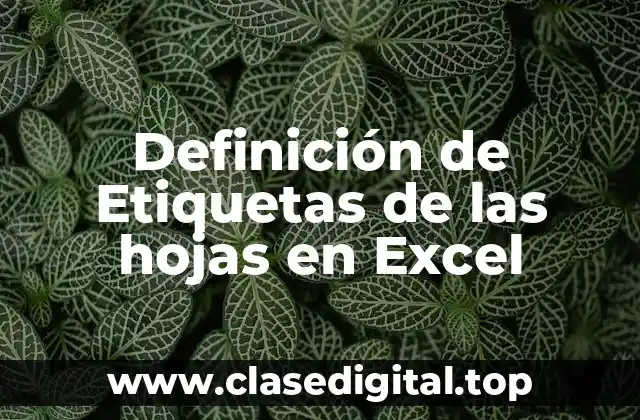 Definición de Etiquetas de las hojas en Excel