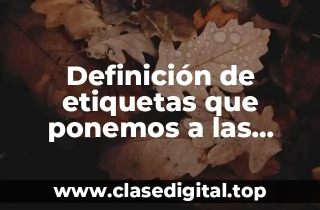 Definición de etiquetas que ponemos a las personas