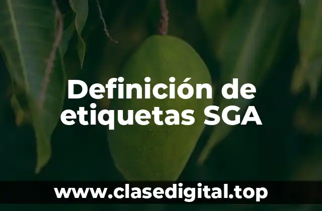 Ejemplos de etiquetas SGA
