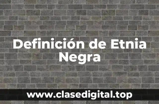 Definición de Etnia Negra