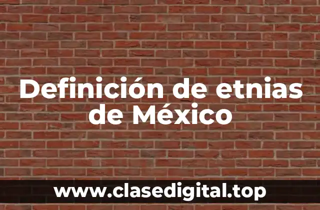 Definición de etnias de México