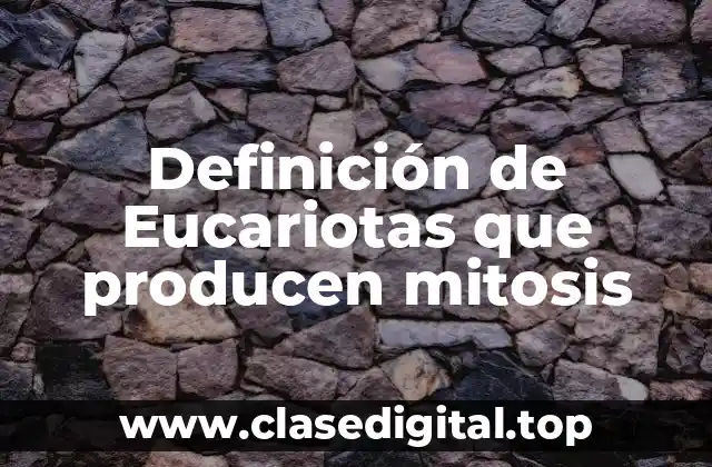 Definición de Eucariotas que producen mitosis