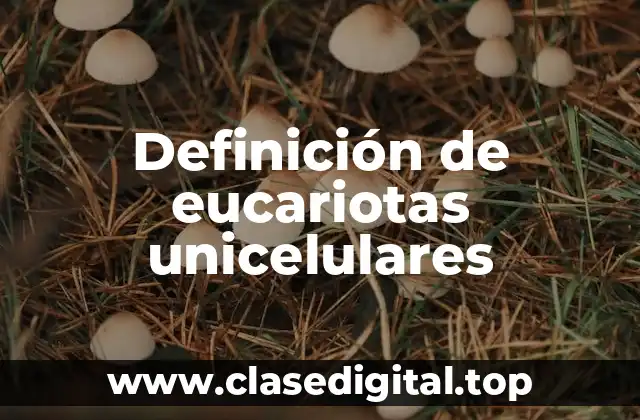 Definición de eucariotas unicelulares