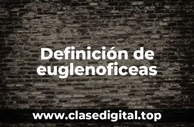 Definición de euglenoficeas
