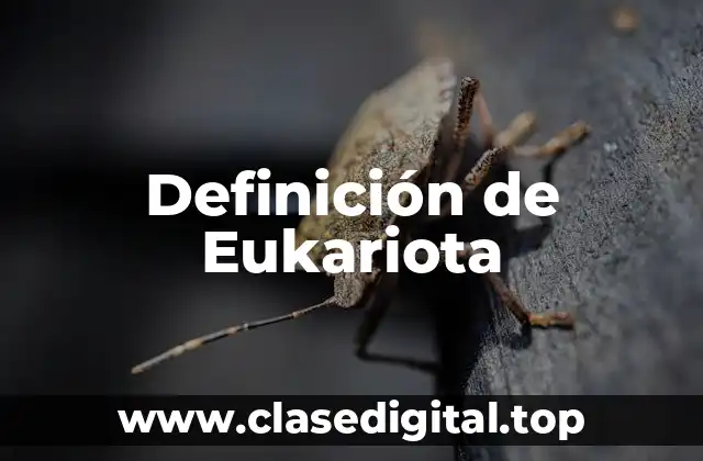 Definición de Eukariota