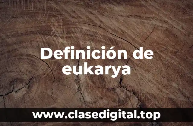 Definición de eukarya