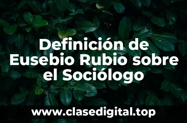 Definición de Eusebio Rubio sobre el Sociólogo