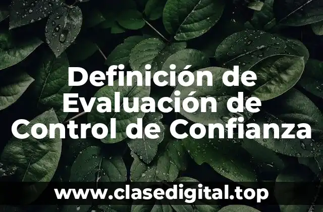 Definición de Evaluación de Control de Confianza