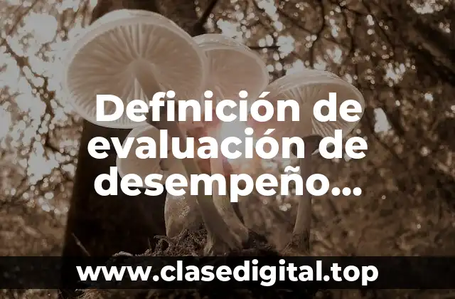 Definición de evaluación de desempeño educativo