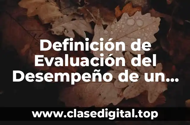 Definición de Evaluación del Desempeño de un Chef