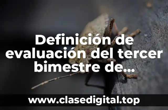 Definición de evaluación del tercer bimestre de educación física